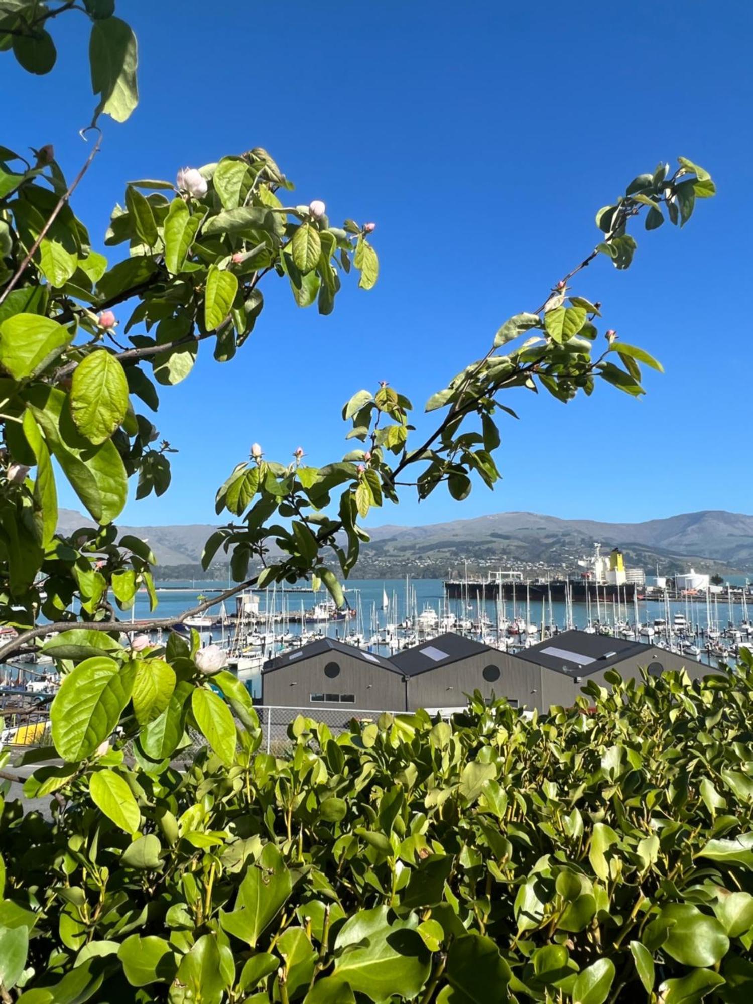 Отель Sea Views In Luxury At Lyttelton Boatique House - 14 Km From Christchurch Экстерьер фото