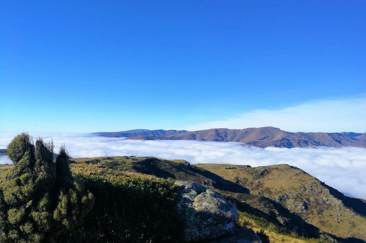 Отель Sea Views In Luxury At Lyttelton Boatique House - 14 Km From Christchurch Экстерьер фото